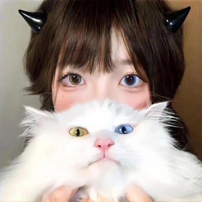 孪生之恋海报